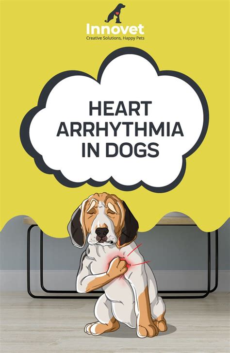 arrhythmia symptoms dogs